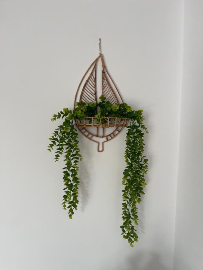 Palapa Garden Alojamientos, Piscina Privada Y Cerca Del Mar Чиклана-де-ла-Фронтера Экстерьер фото